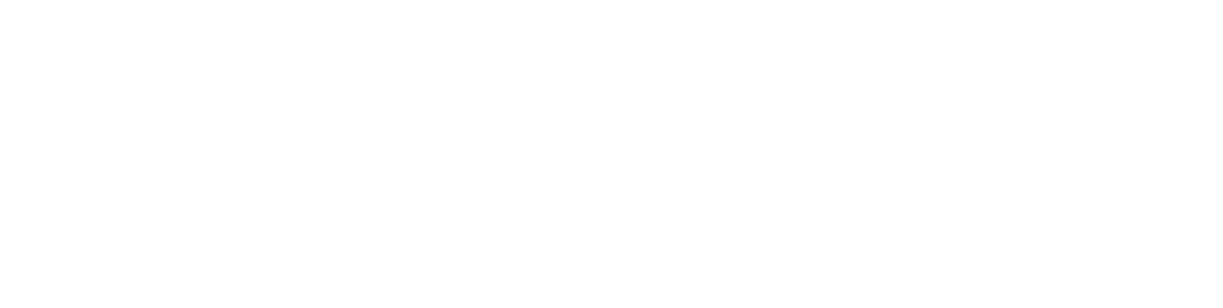 Logo 9